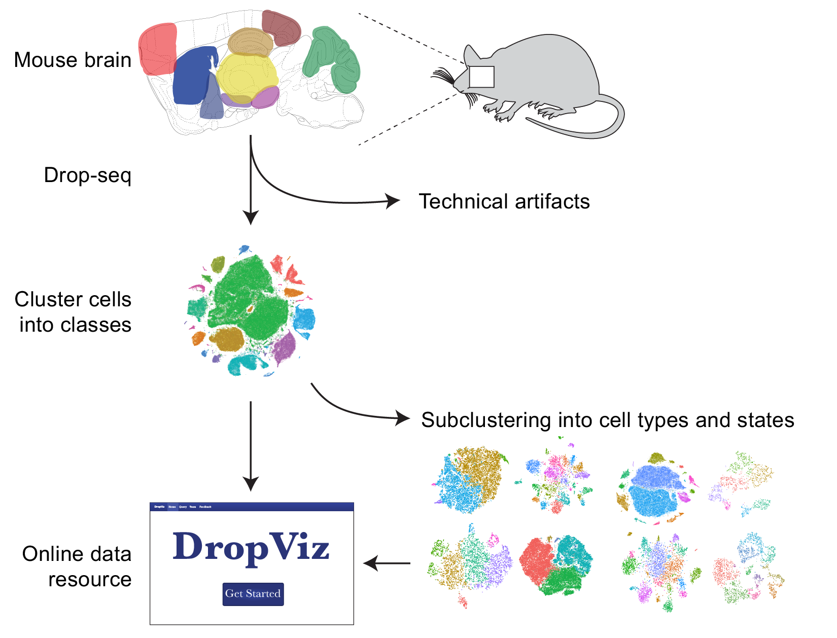 Graphical Abstract 01 McCarroll Lab